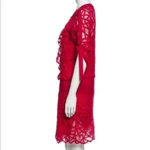 chinese dress ladies 90s Vivienne Tam Lace Dreamy Dress-Sz S